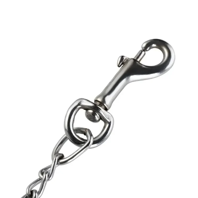 Laisse Chaîne Métal Chiot Anti-Mâchouille