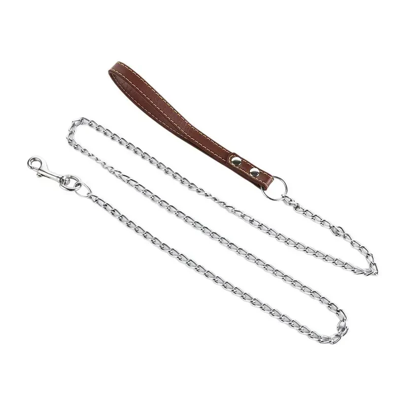 Laisse Chaîne Métal Chiot Anti-Mâchouille