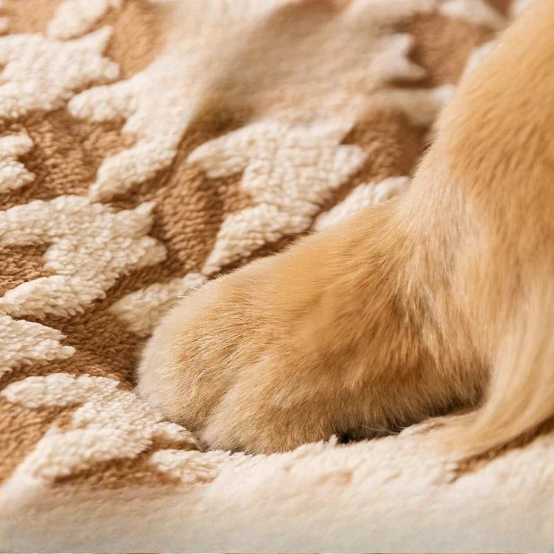 Panier Chien Avec Toit Cabane Cocon