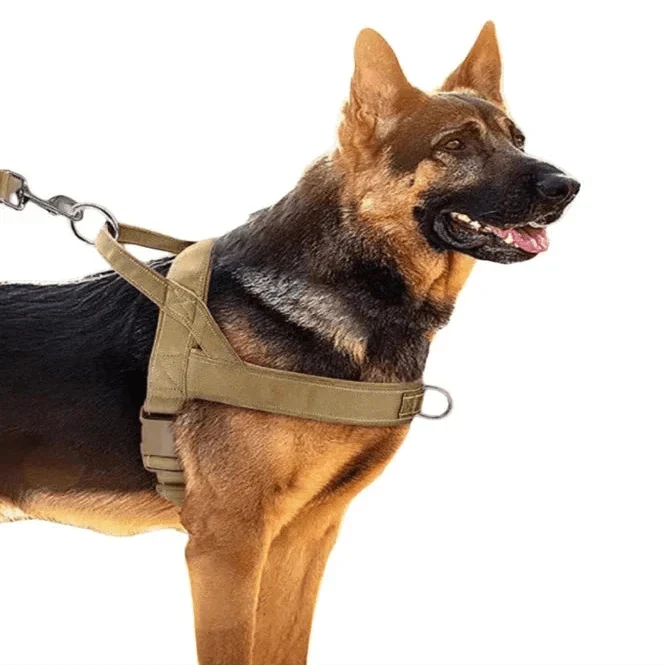 Harnais Anti-Traction Poitrail Gros Chien