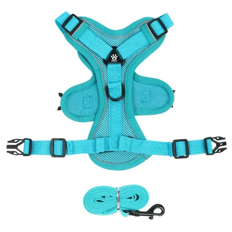 Harnais Anti-Traction Petit Molosse Confort