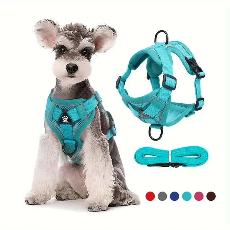 Harnais Anti-Traction Petit Molosse Confort