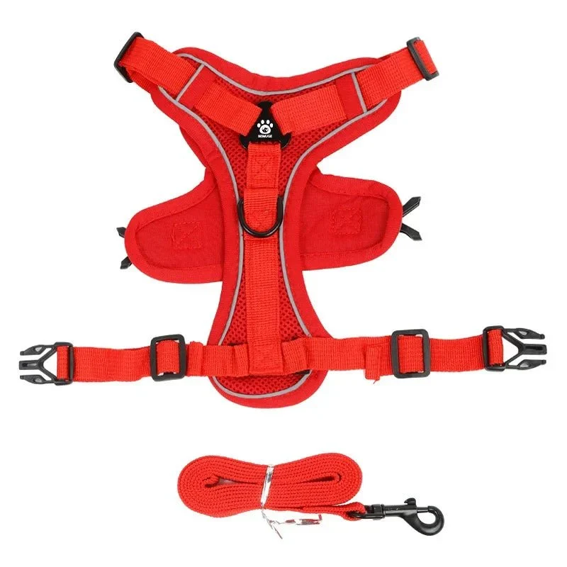 Harnais Anti-Traction Petit Molosse Confort