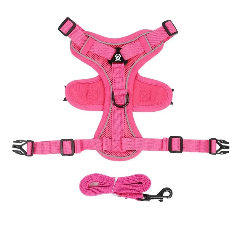 Harnais Anti-Traction Petit Molosse Confort