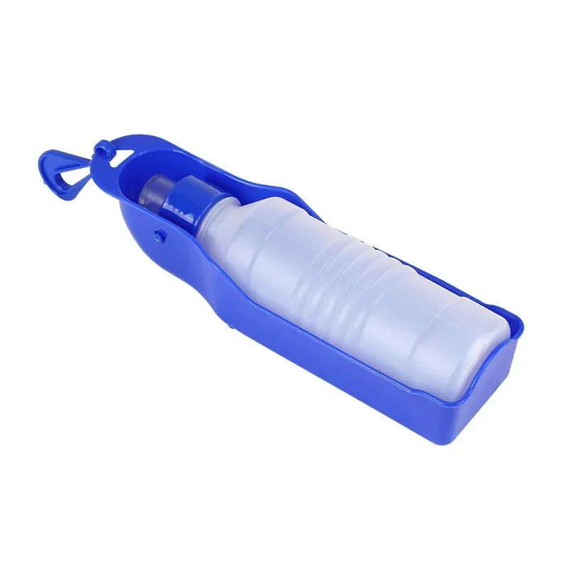 Grande Gourde Portable Hydratation Gros Chien