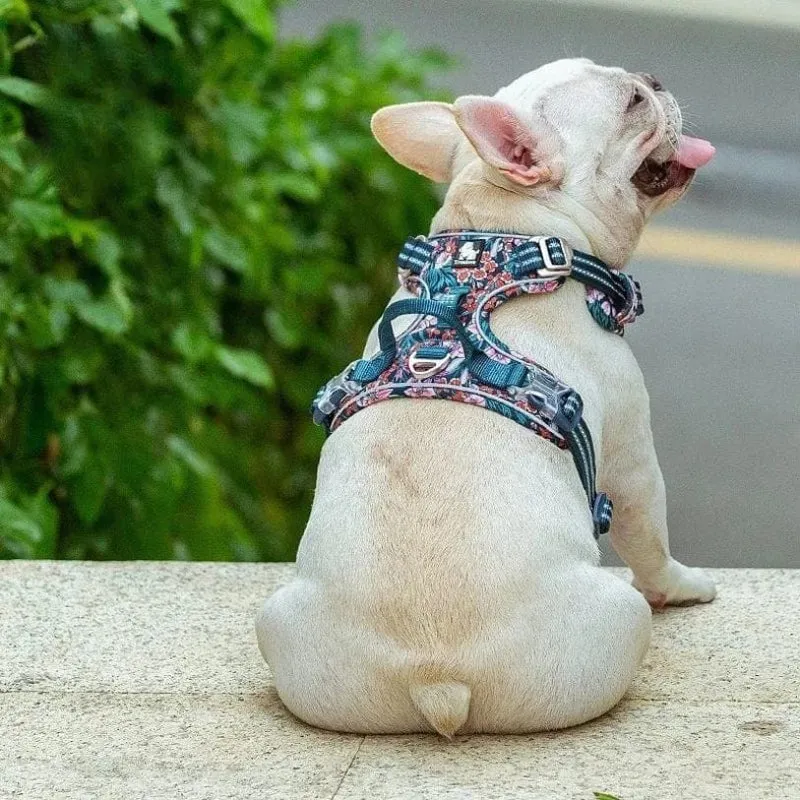 Harnais Anti-Traction Confort Gros Chien