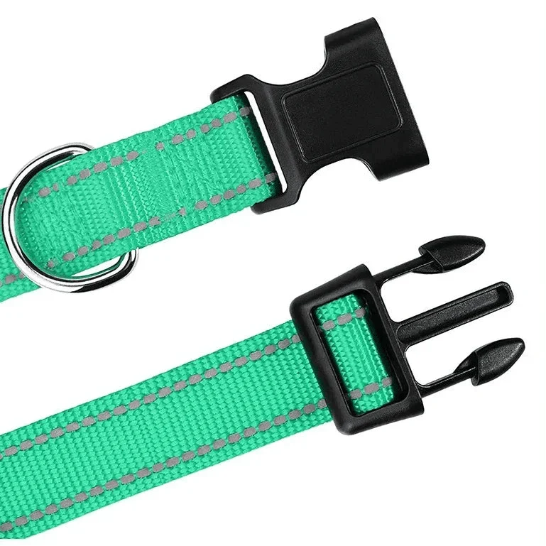 Collier Nylon Réglable Chiot 12 Coloris