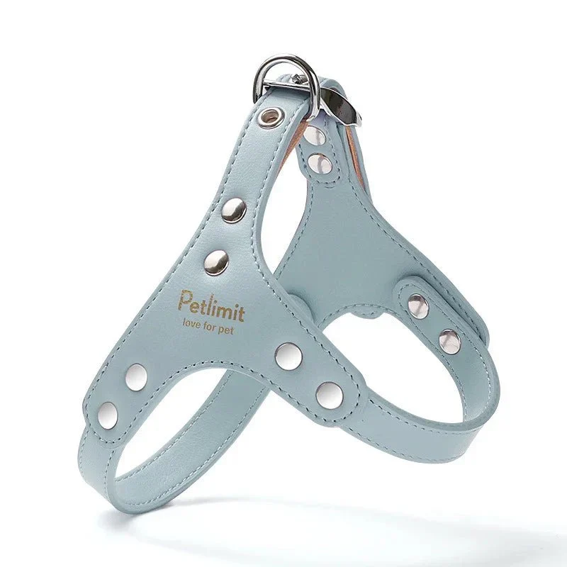 Harnais Cuir Élégant Petit Gros Chien