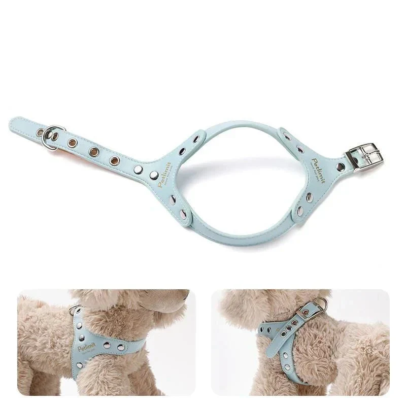 Harnais Cuir Élégant Petit Gros Chien