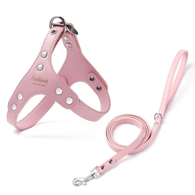 Harnais Cuir Élégant Petit Gros Chien