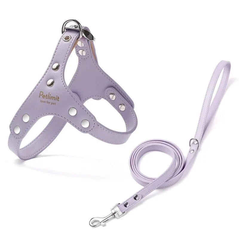 Harnais Cuir Élégant Petit Gros Chien