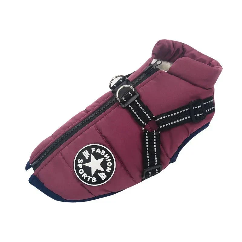 Manteau Imperméable Harnais Intégré Gros Chien