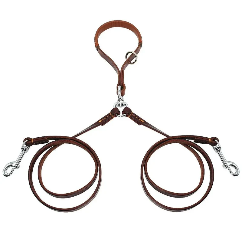 Double Laisse Cuir Anti-Enchevêtrement Molosse