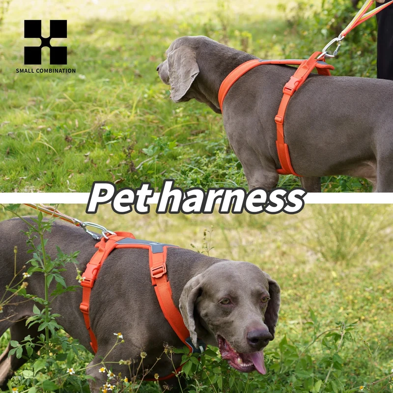 Harnais Anti-Traction XL Gros Chien Robuste