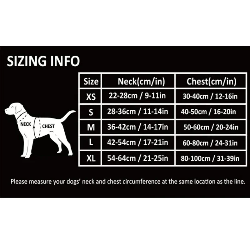 Harnais en T Réglable Confort Chien
