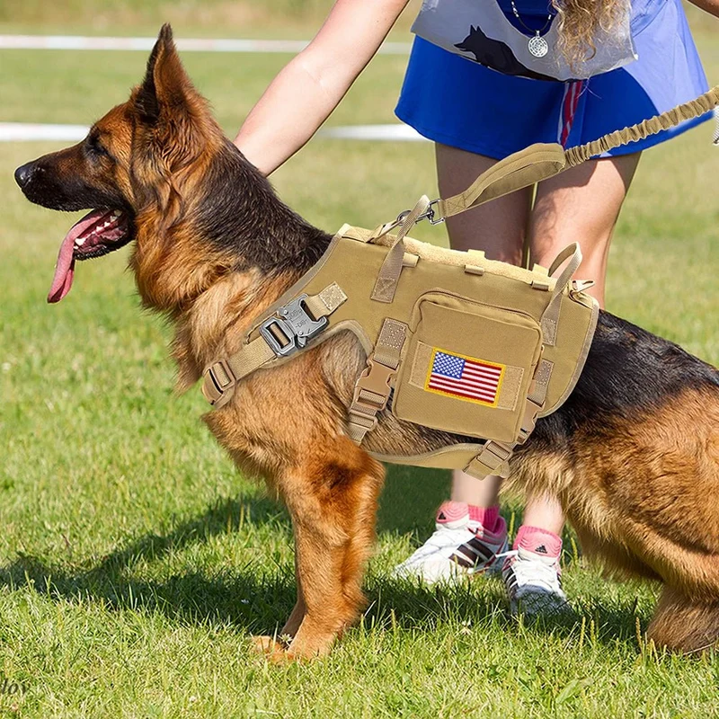 Harnais Tactique Police Noir Gros Chien