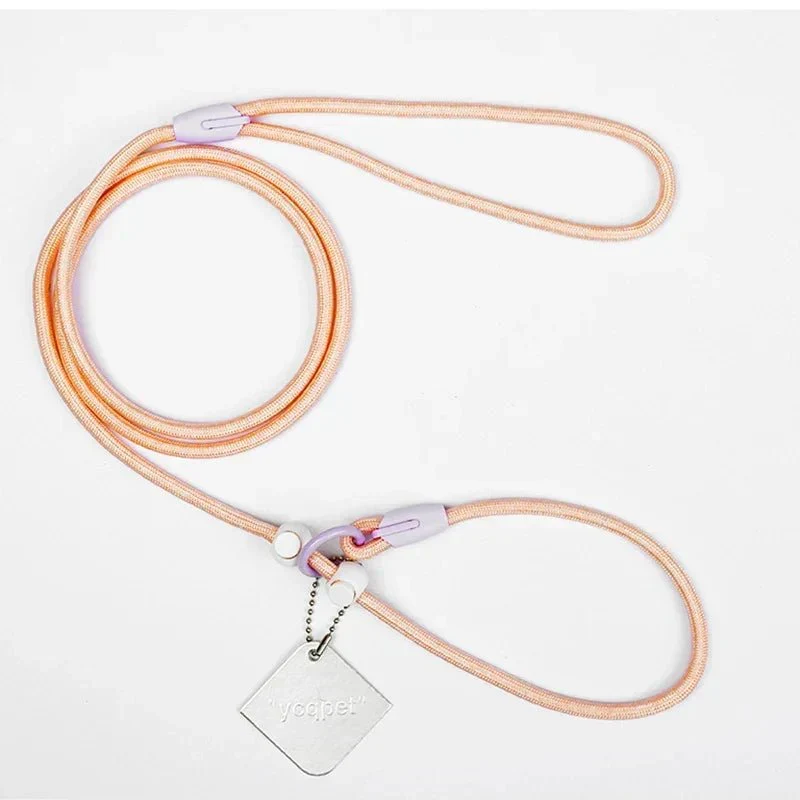 Laisse Éducative Slip Lead Molosse