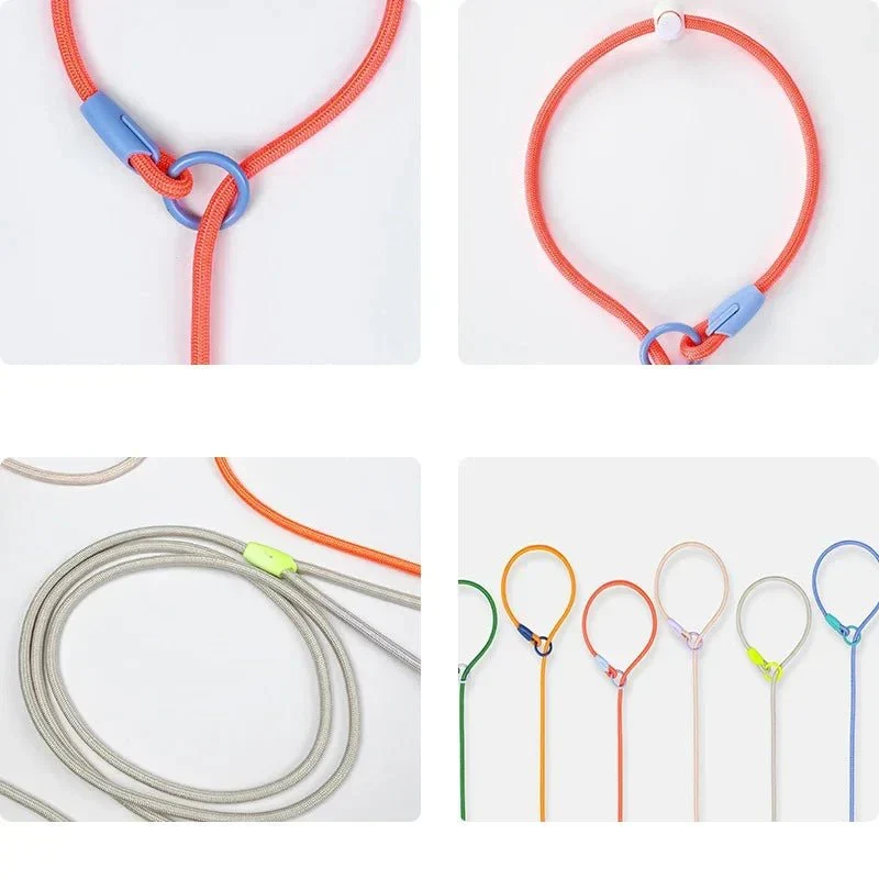 Laisse Éducative Slip Lead Molosse