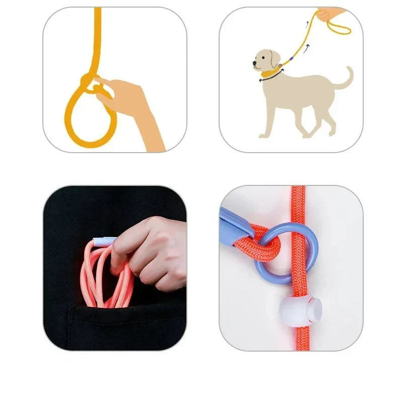 Laisse Éducative Slip Lead Molosse
