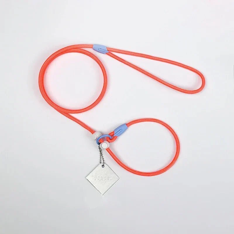 Laisse Éducative Slip Lead Molosse