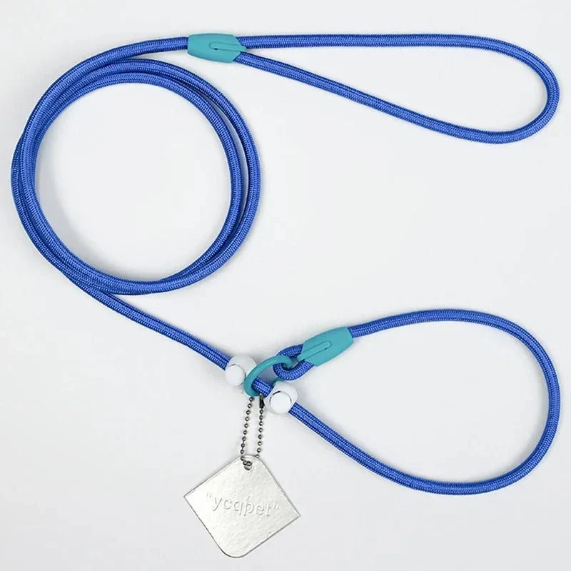 Laisse Éducative Slip Lead Molosse