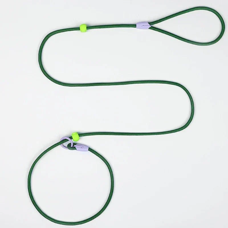Laisse Éducative Slip Lead Molosse