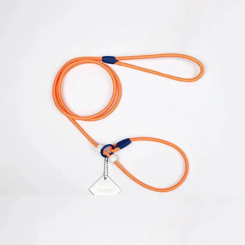 Laisse Éducative Slip Lead Molosse