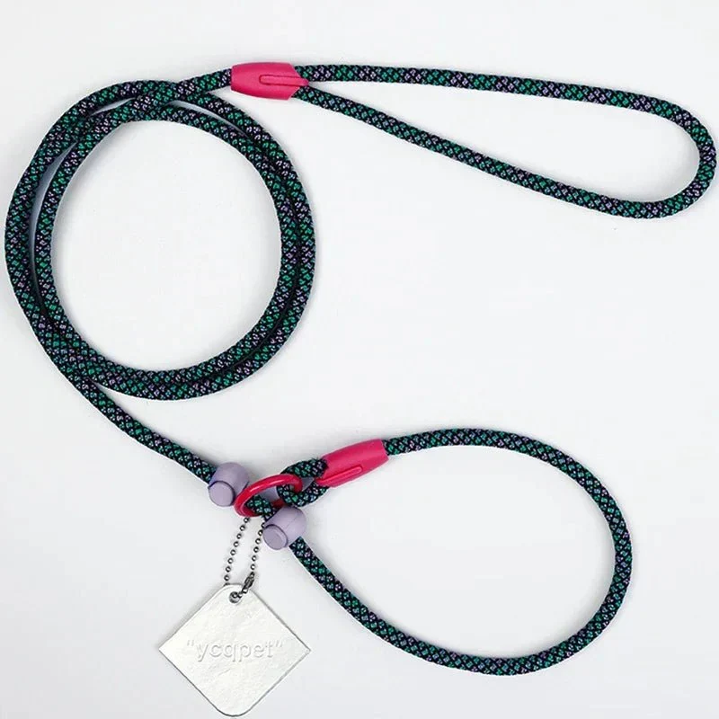 Laisse Éducative Slip Lead Molosse
