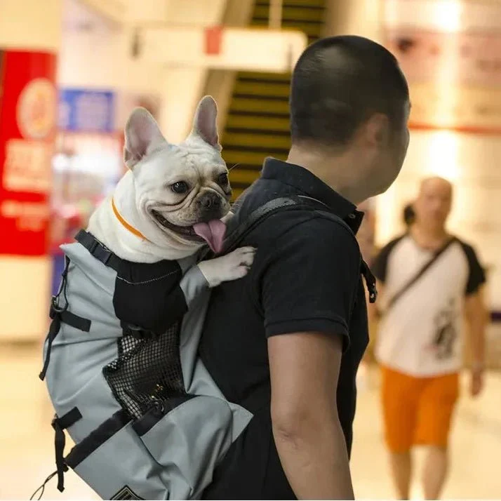 Sac à Dos Bât Chien 15kg Randonnée