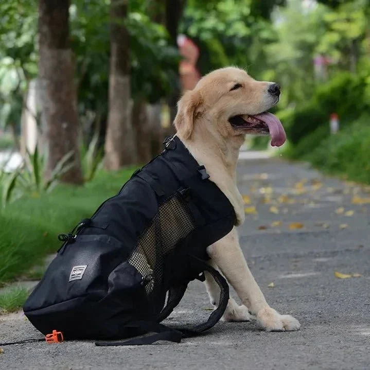 Sac à Dos Bât Chien 15kg Randonnée