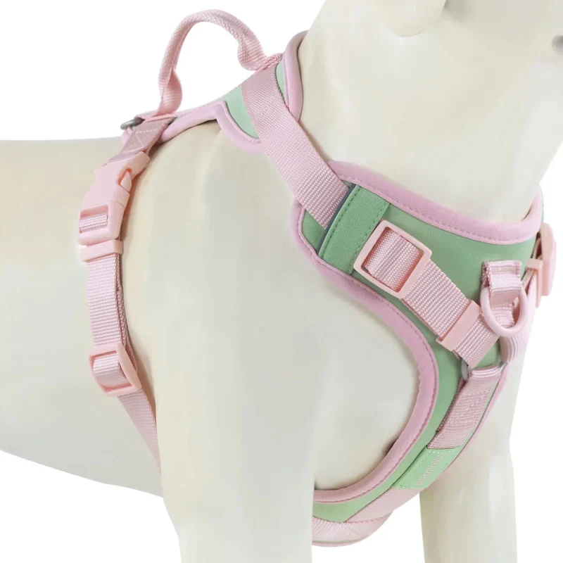 Harnais Anti-Traction Gros Chien Multicolore
