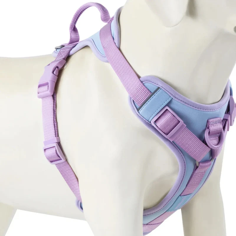 Harnais Anti-Traction Gros Chien Multicolore