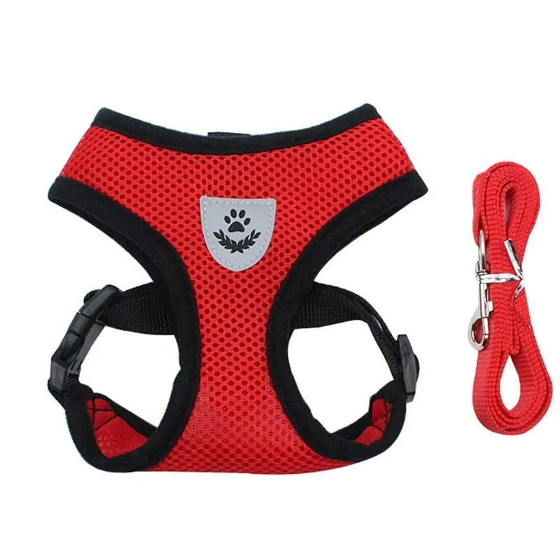 Harnais Chihuahua avec Laisse Réglable