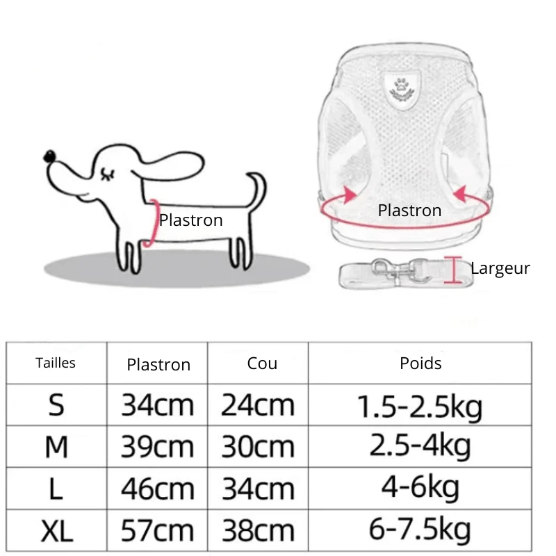 Harnais Chihuahua avec Laisse Réglable