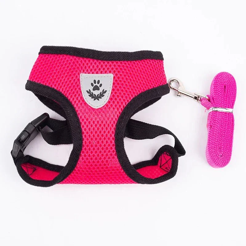 Harnais Chihuahua avec Laisse Réglable