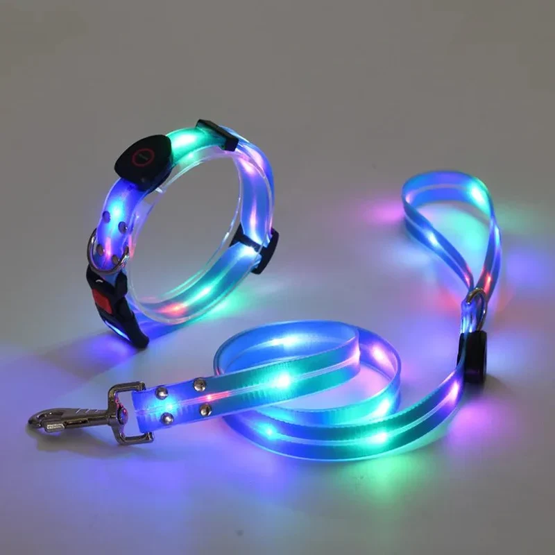 Laisse Lumineuse LED Rechargeable Gros Chien