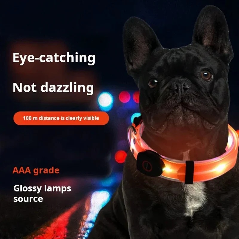 Laisse Lumineuse LED Rechargeable Gros Chien