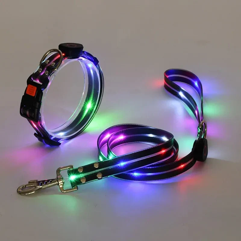 Laisse Lumineuse LED Rechargeable Gros Chien
