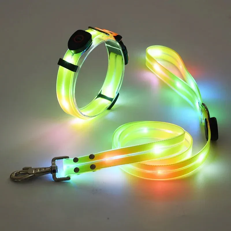 Laisse Lumineuse LED Rechargeable Gros Chien
