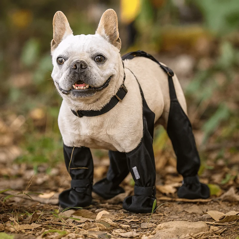 Bottes Maintien Gros Chien Antidérapantes Noires