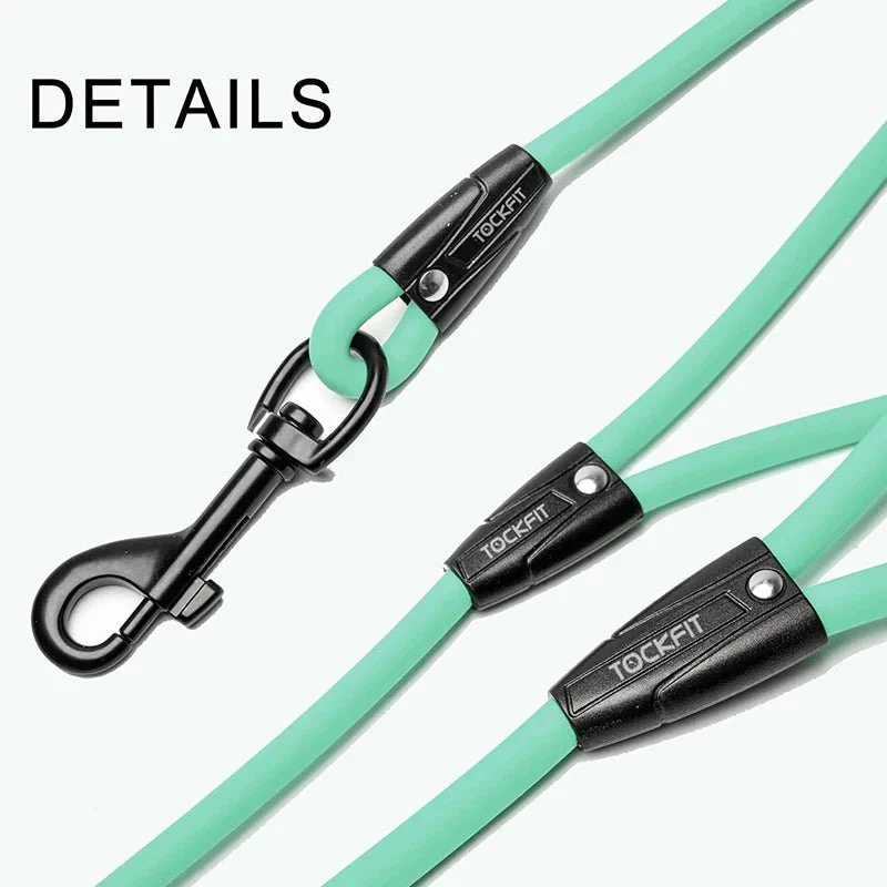Laisse Étanche PVC Renforcée Gros Chien