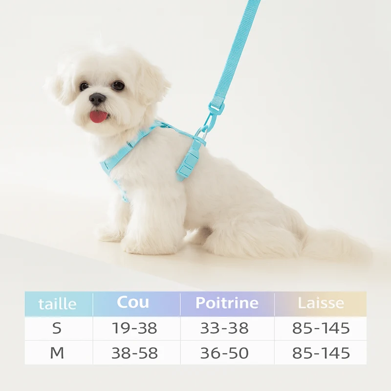 Harnais Polyester Réglable Chien Chiot