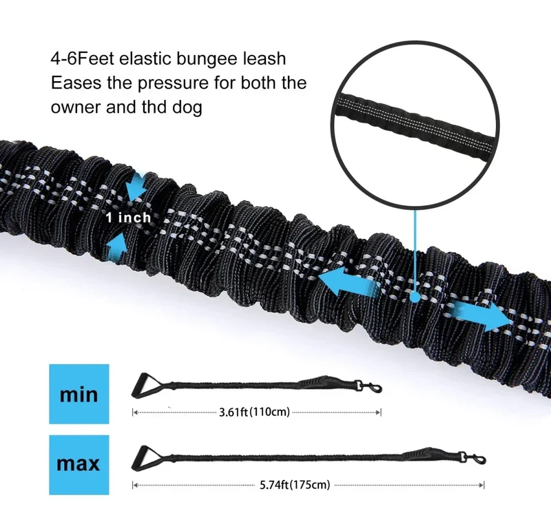 Laisse Rétractable Bungee Gros Chien