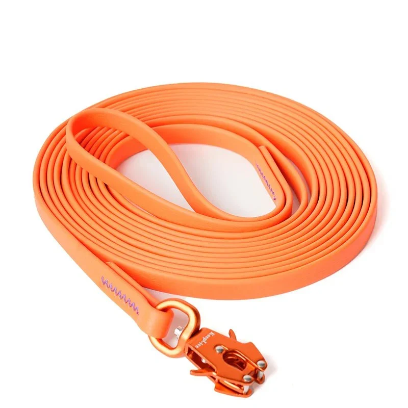 Laisse Longe Dressage Longue Distance Molosse