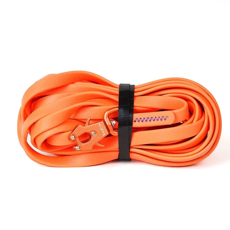 Laisse Longe Dressage Longue Distance Molosse