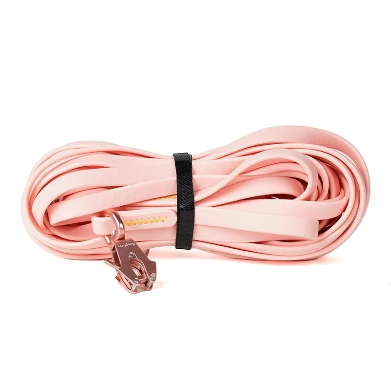 Laisse Longe Dressage Longue Distance Molosse