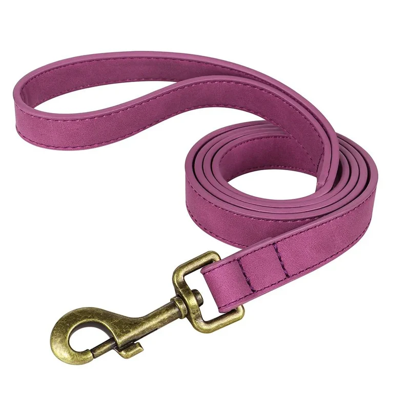 Laisse Cuir 120cm Gros Chien Pleine Fleur