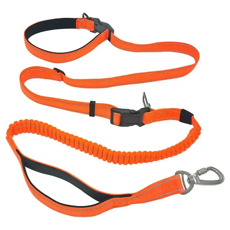 Laisse Ceinture Canicross Mains Libres