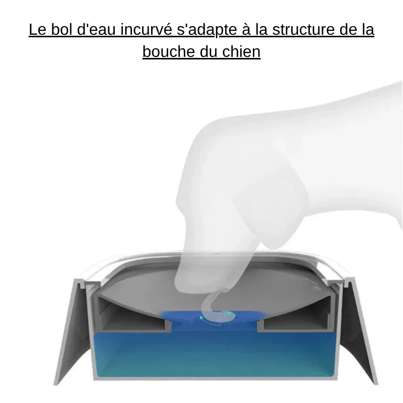 Gamelle Anti-Éclaboussures Inox Gros Chien