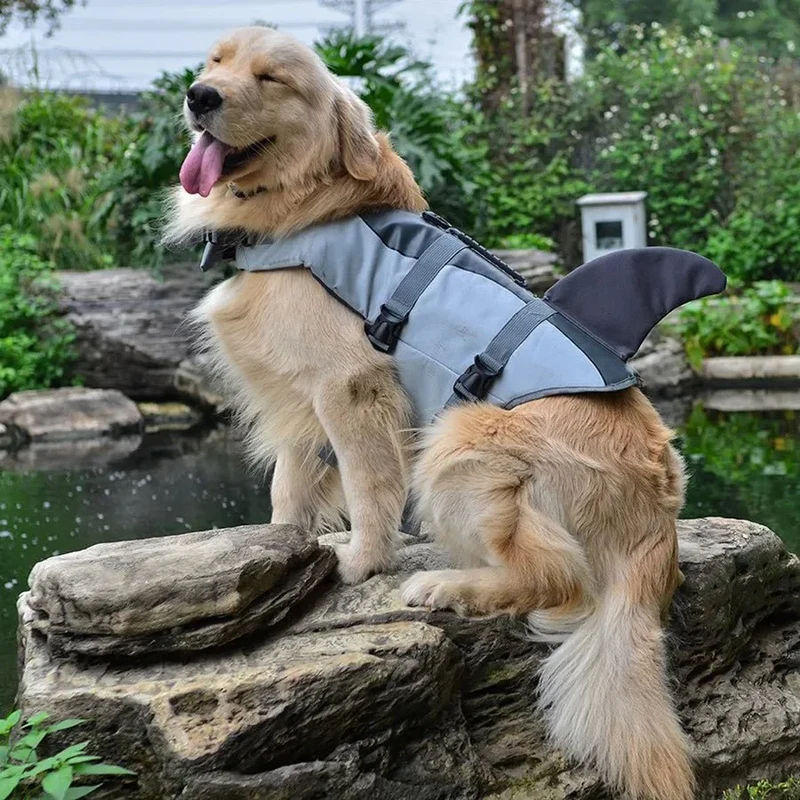 Gilet Sauvetage Requin Aileron Gros Chien